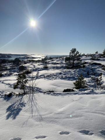 Lyse-Berga, vinterbild från berget bakom Sandviksvägen